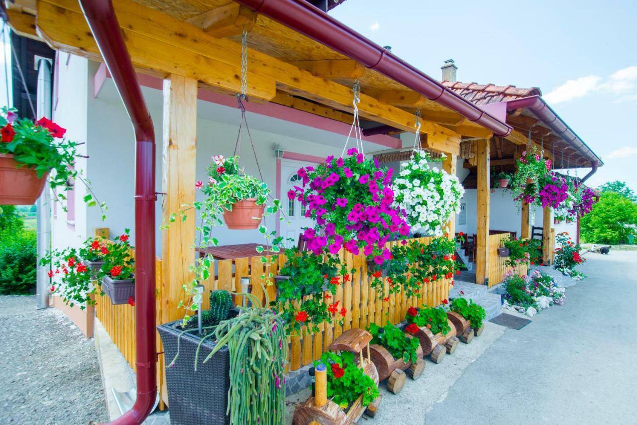 Guesthouse Ella Slunj Extérieur photo